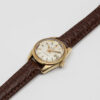Ladies Omega Seamaster Cosmic from 1969 Ref. 566.013. Gold cap and sparkle dial. Automatic movement.