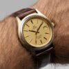 Omega Seamaster Cosmic 2000 date Cal. 1012 Ref. 166.128. From 1973. Automatic movment. Gold cup.