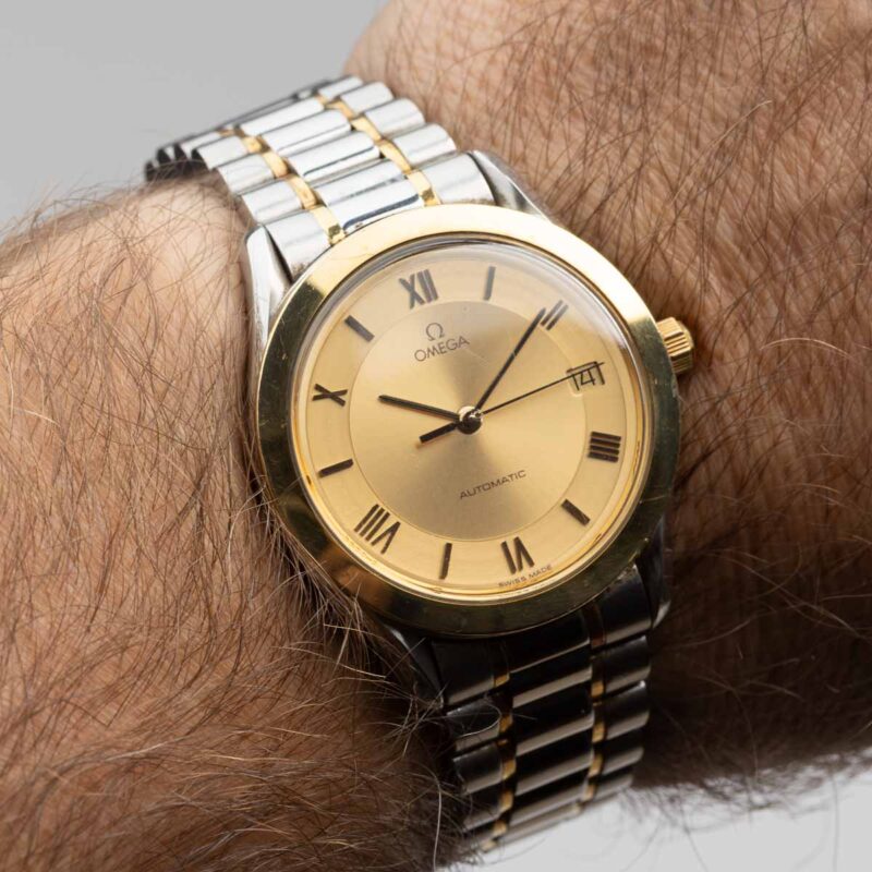 1991 Omega